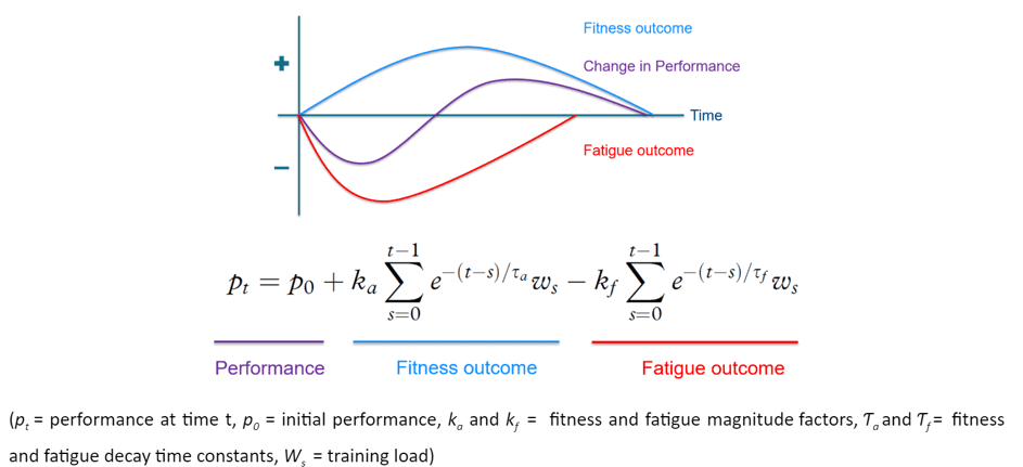 Fitness fatigue components formula