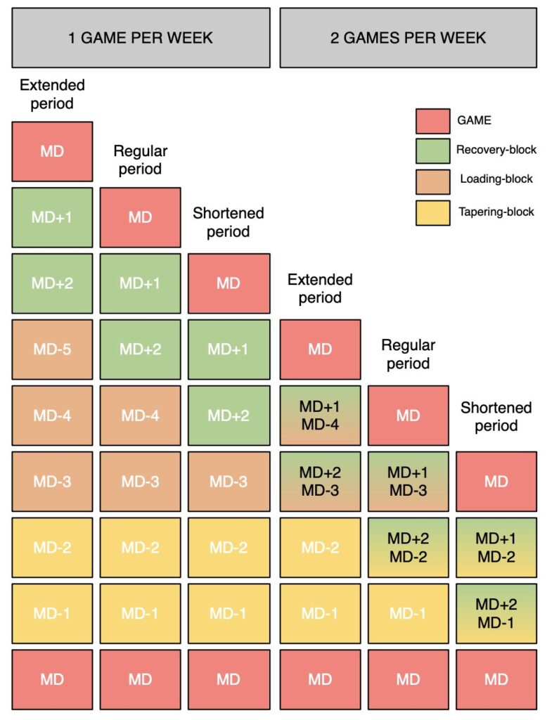 MD-X structure used for training periodisation